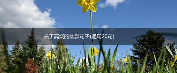关于高烧的幽默句子(通用20句),第1张