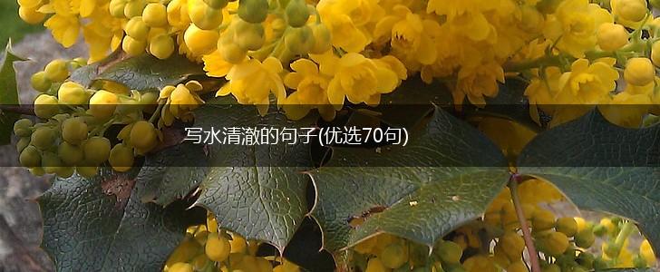 写水清澈的句子(优选70句),第1张