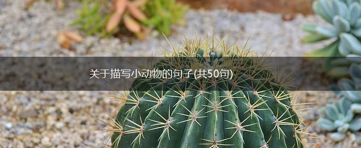 关于描写小动物的句子(共50句),第1张