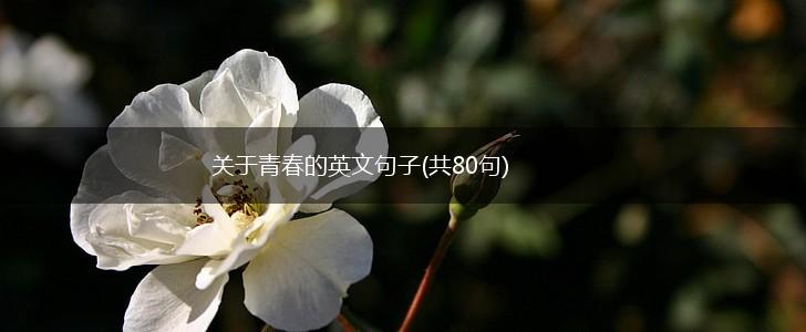 关于青春的英文句子(共80句),第1张