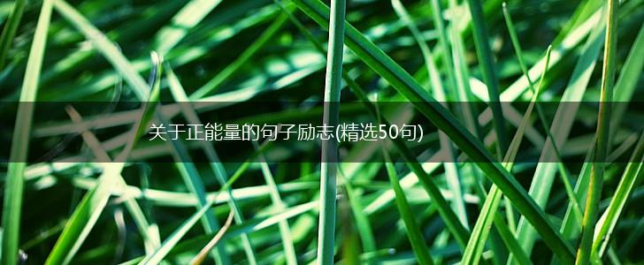 关于正能量的句子励志(精选50句),第1张