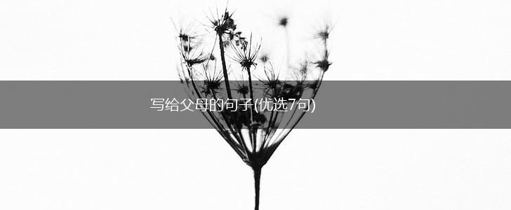 写给父母的句子(优选7句),第1张