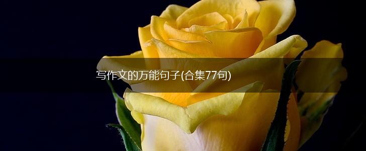 写作文的万能句子(合集77句),第1张