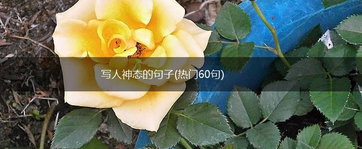 写人神态的句子(热门60句),第1张