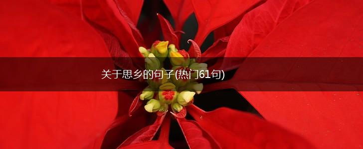 关于思乡的句子(热门61句),第1张