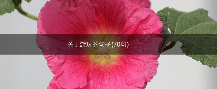 关于游玩的句子(70句),第1张