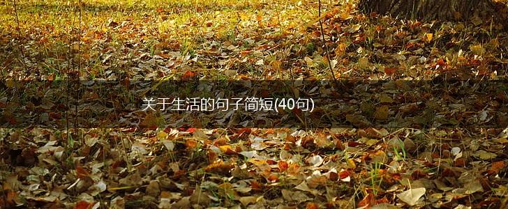 关于生活的句子简短(40句),第1张