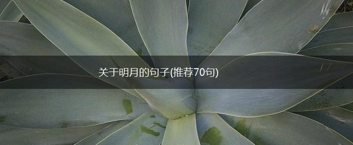 关于明月的句子(推荐70句),第1张