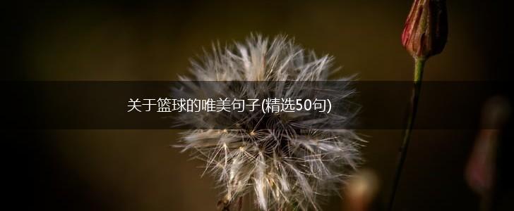 关于篮球的唯美句子(精选50句),第1张
