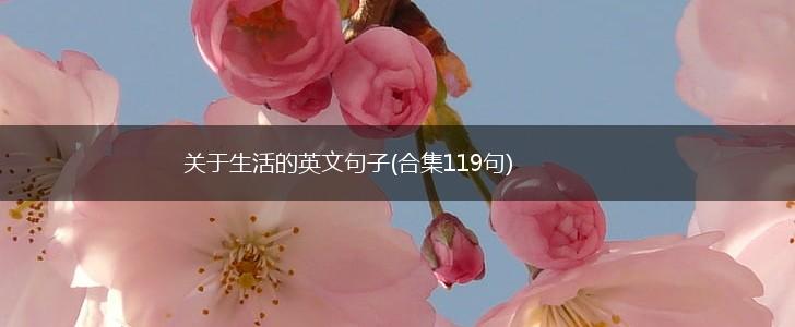 关于生活的英文句子(合集119句),第1张