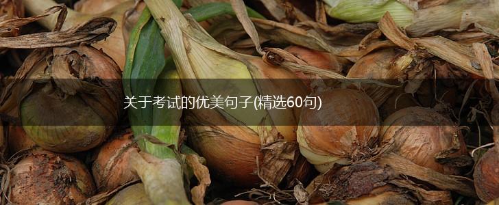关于考试的优美句子(精选60句),第1张