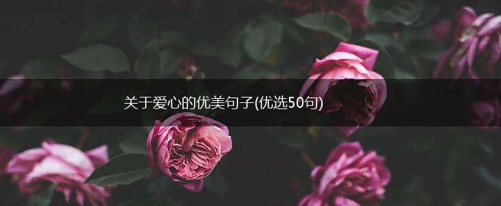 关于爱心的优美句子(优选50句),第1张