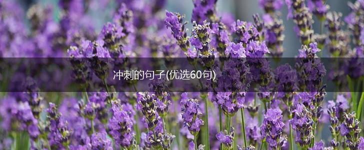 冲刺的句子(优选60句),第1张