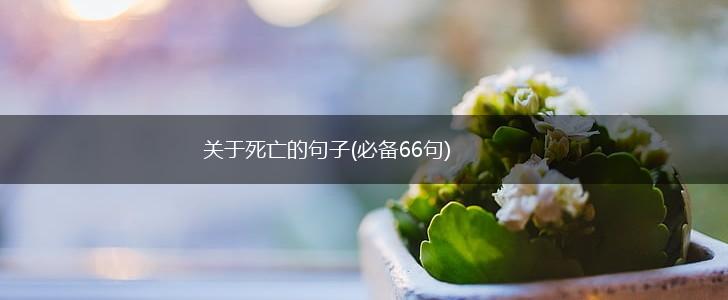 关于死亡的句子(必备66句),第1张