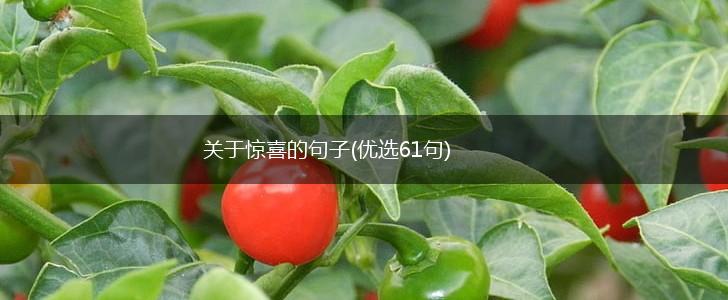 关于惊喜的句子(优选61句),第1张