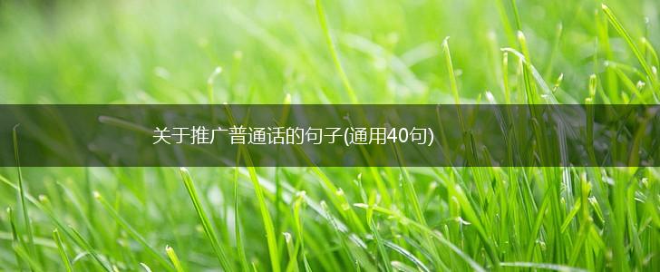 关于推广普通话的句子(通用40句),第1张