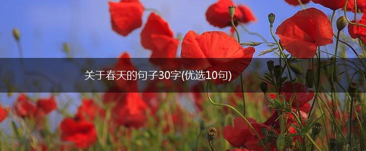 关于春天的句子30字(优选10句),第1张
