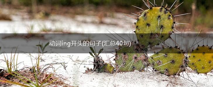 动词ing开头的句子(汇总40句),第1张