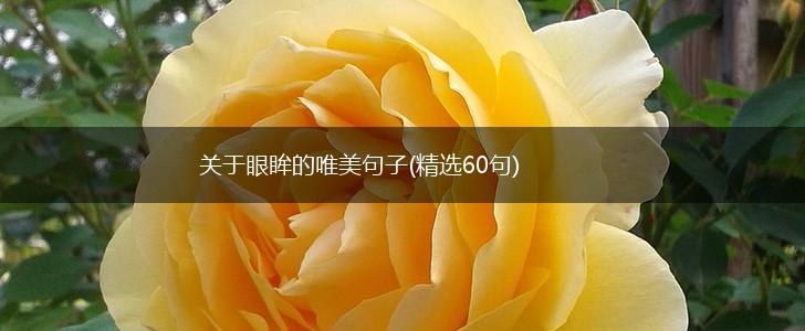 关于眼眸的唯美句子(精选60句),第1张