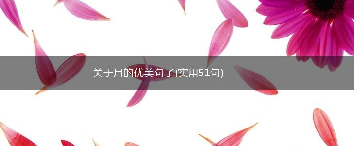 关于月的优美句子(实用51句),第1张