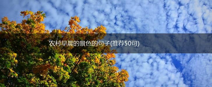 农村早晨的景色的句子(推荐50句),第1张