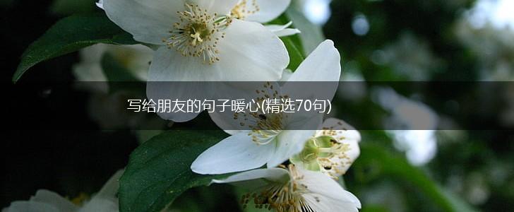 写给朋友的句子暖心(精选70句),第1张