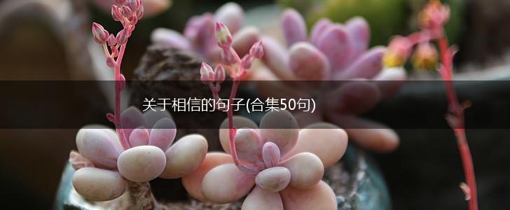 关于相信的句子(合集50句),第1张