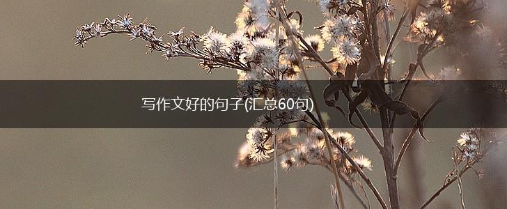 写作文好的句子(汇总60句),第1张