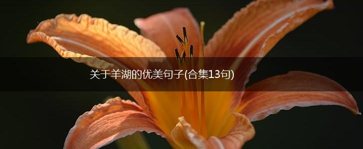 关于羊湖的优美句子(合集13句),第1张