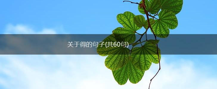 关于得的句子(共60句),第1张