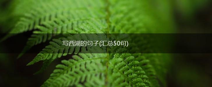 写西湖的句子(汇总50句),第1张