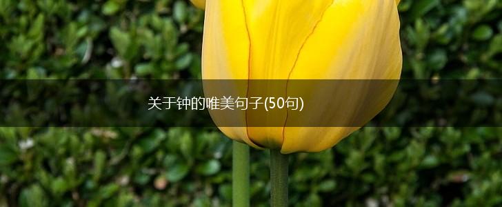 关于钟的唯美句子(50句),第1张