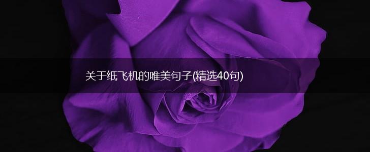 关于纸飞机的唯美句子(精选40句),第1张