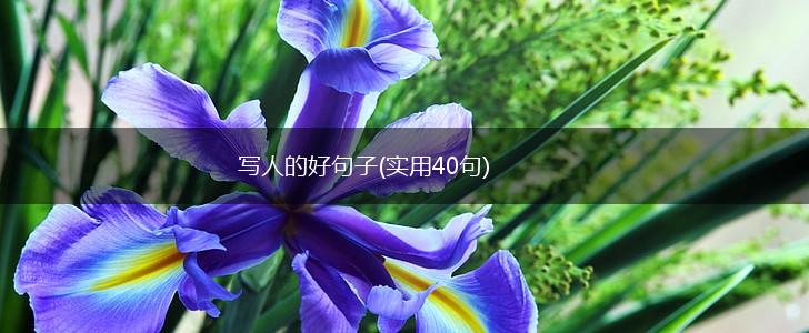 写人的好句子(实用40句),第1张