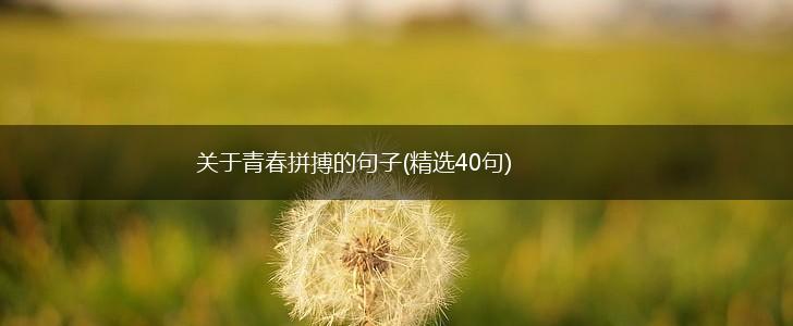 关于青春拼搏的句子(精选40句),第1张