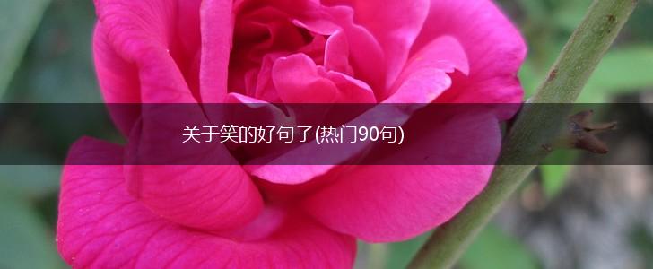 关于笑的好句子(热门90句),第1张