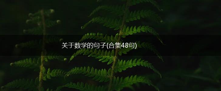 关于数学的句子(合集48句),第1张