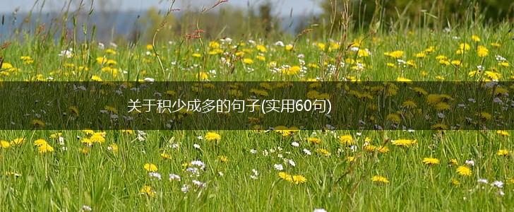 关于积少成多的句子(实用60句),第1张