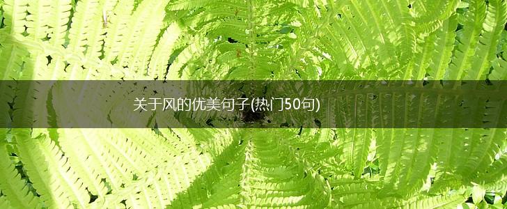 关于风的优美句子(热门50句),第1张