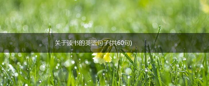 关于读书的英语句子(共60句),第1张