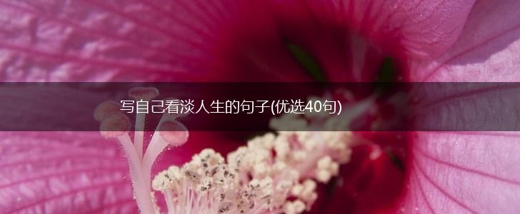 写自己看淡人生的句子(优选40句),第1张