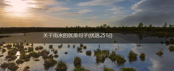 关于雨水的优美句子(优选25句),第1张