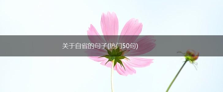 关于自省的句子(热门50句),第1张