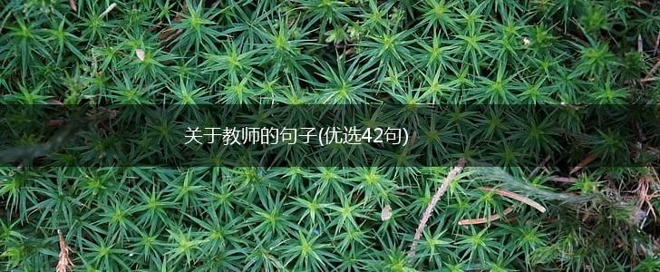 关于教师的句子(优选42句),第1张