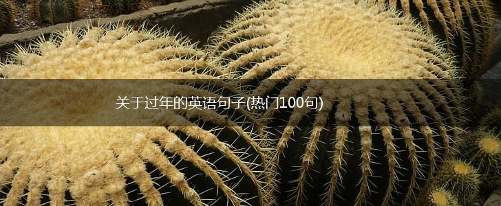 关于过年的英语句子(热门100句),第1张