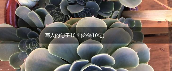 写人的句子10字(必备10句),第1张
