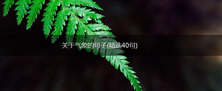 关于气象的句子(精选40句),第1张