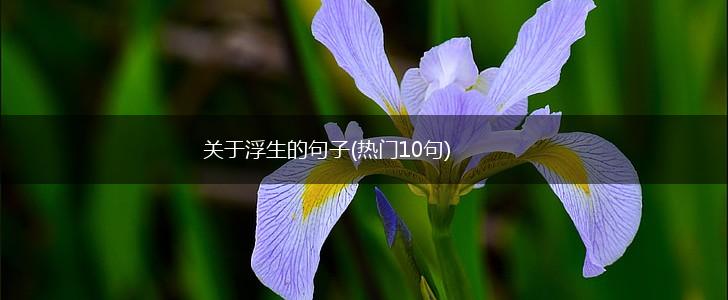 关于浮生的句子(热门10句),第1张