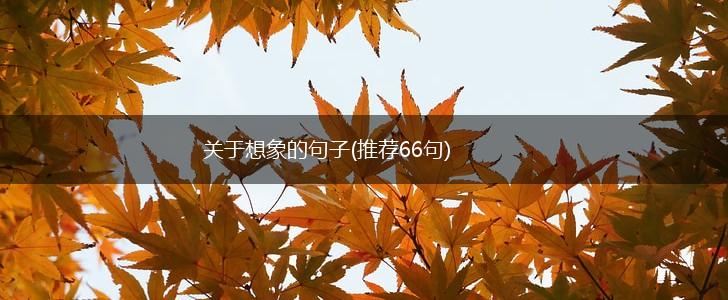 关于想象的句子(推荐66句),第1张