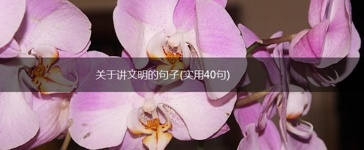 关于讲文明的句子(实用40句),第1张
